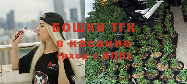 СК Аркадак
