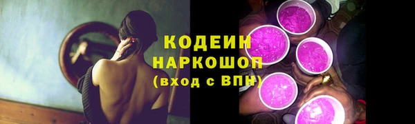 ГАЛЛЮЦИНОГЕННЫЕ ГРИБЫ Арсеньев