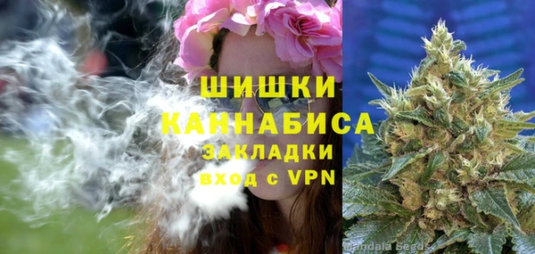 ГАЛЛЮЦИНОГЕННЫЕ ГРИБЫ Арсеньев