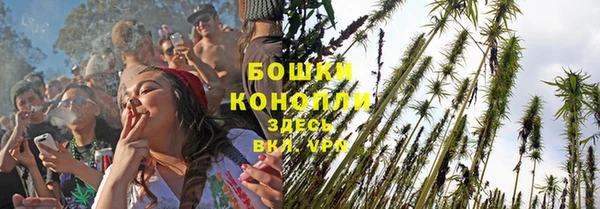 СК Аркадак
