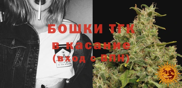 ГАЛЛЮЦИНОГЕННЫЕ ГРИБЫ Арсеньев
