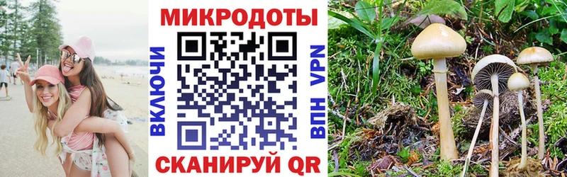 Псилоцибиновые грибы Psilocybe  Грязи 