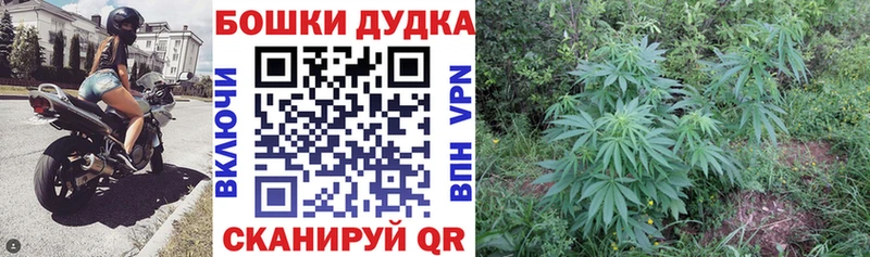 Бошки Шишки тримм Грязи